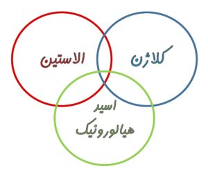 سه عامل مهم برای پوست