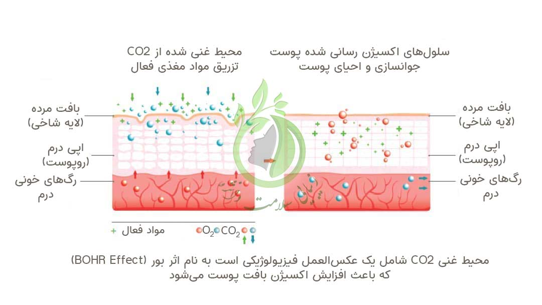 کپسوژن Capsugen